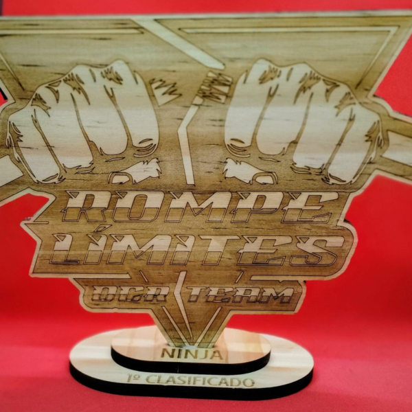Trofeos Personalizados - Imagen 5
