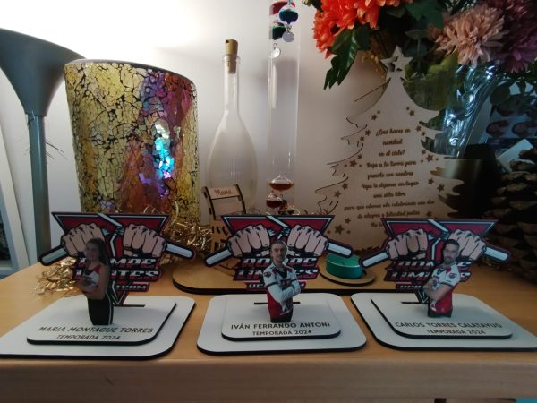 Trofeos Personalizados - Imagen 4