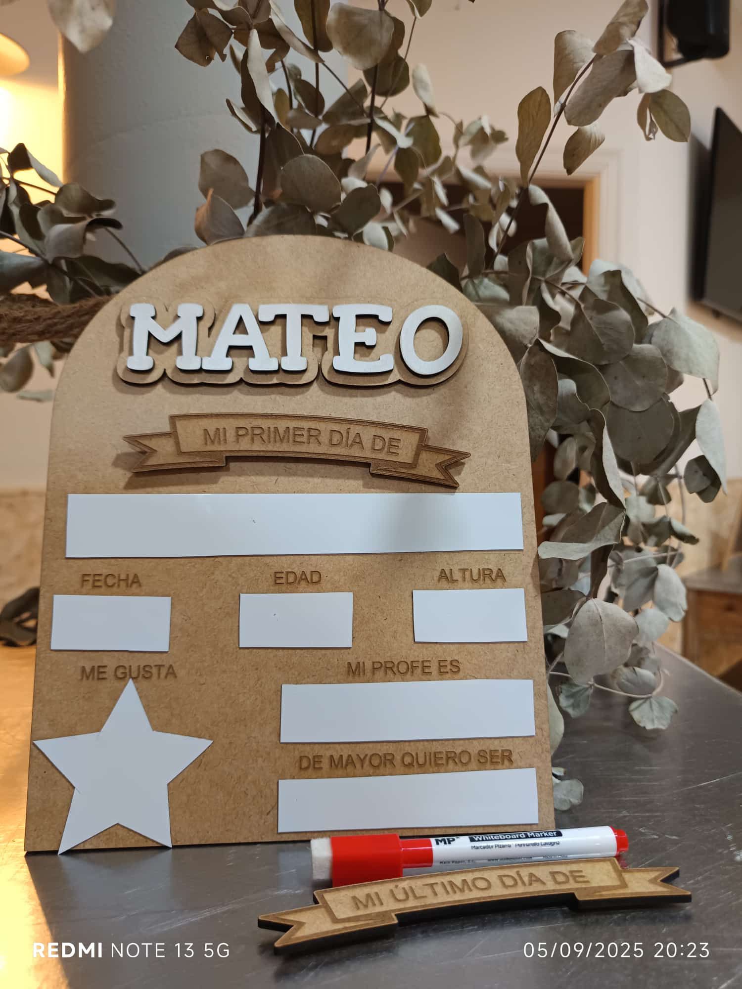 Cuadro Personalizado "Mi Primer y Último Día de Cole"