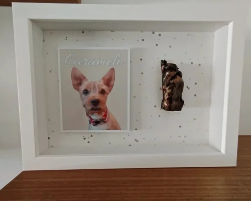 395192023_122114009000080535_1875339093199902290_n-high